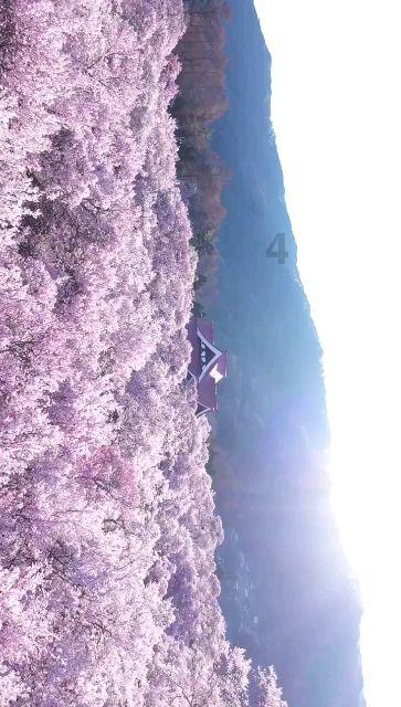 “近视治愈”频上热搜,平台难辞其咎